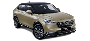 Sand Khaki Pearl Two Tone (Type E, SE, RS)